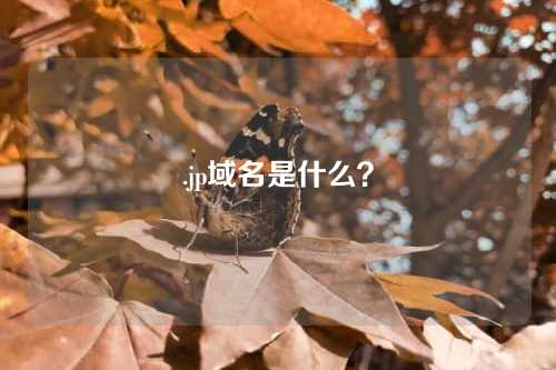 .jp域名是什么？