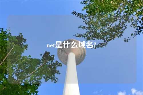 net是什么域名?