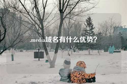 .media域名有什么优势？