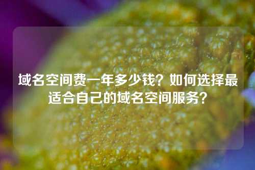 域名空间费一年多少钱？如何选择最适合自己的域名空间服务？