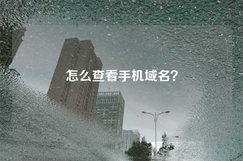 怎么查看手机域名？