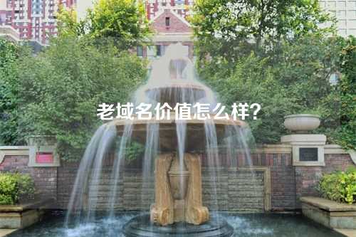 老域名价值怎么样？