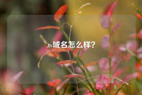 .tv域名怎么样？