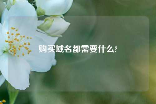 购买域名都需要什么?
