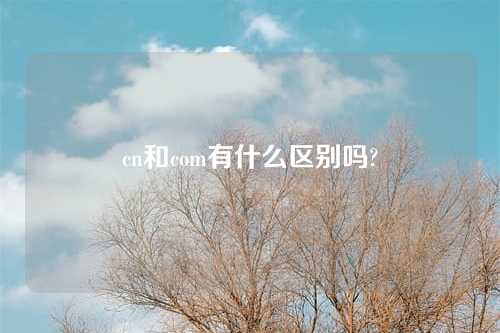 cn和com有什么区别吗?